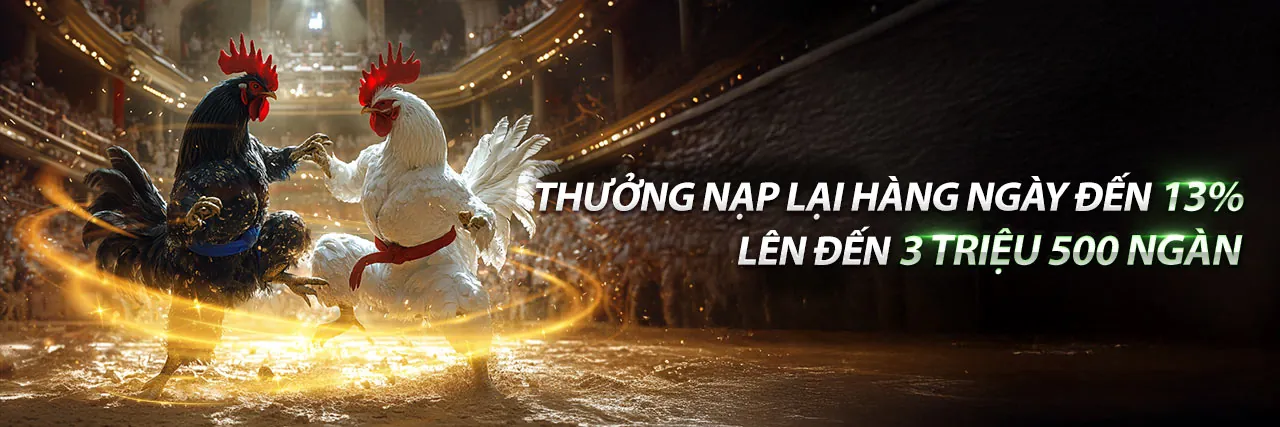 Đá gà SV388 kịch tính